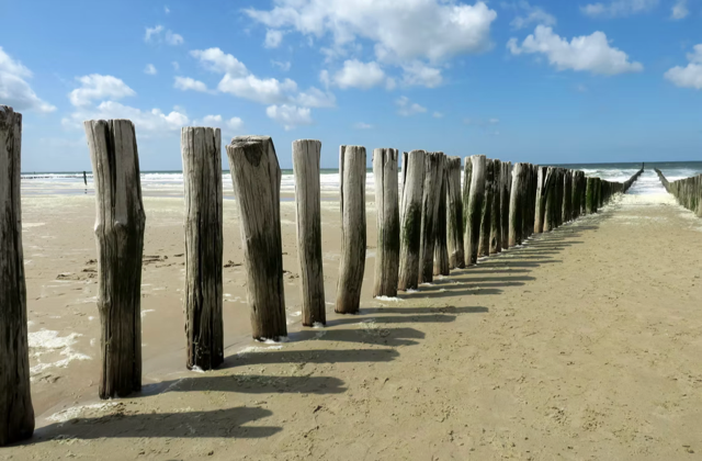 strand Kulturhus de Mozaïek - home